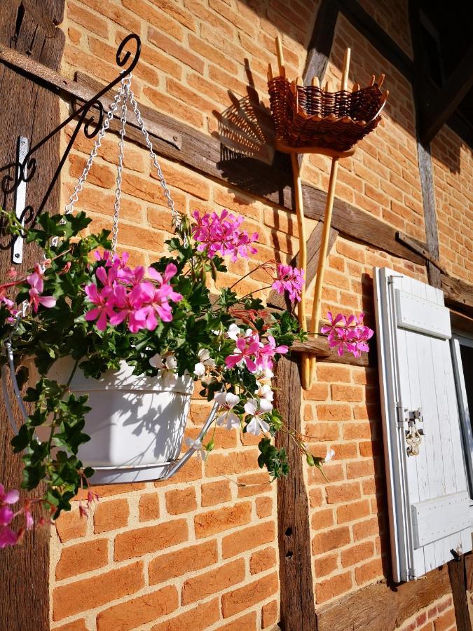 Domaine De Mepillat