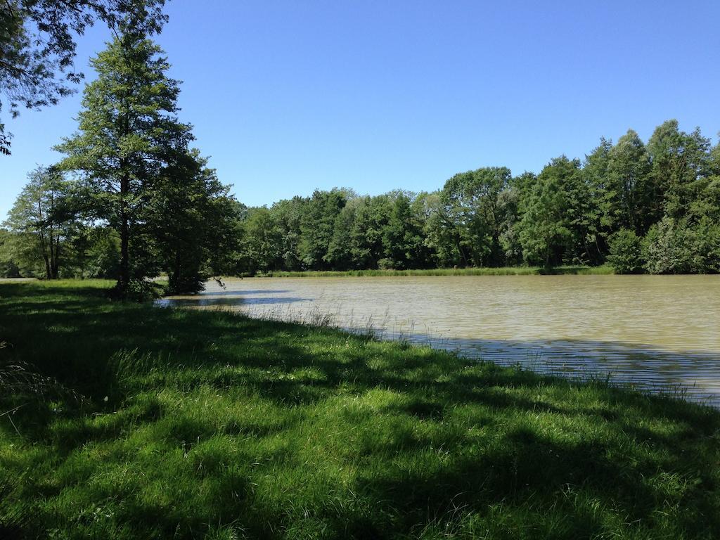 Campsite Domaine De Mepillat Saint-Nizier-le-Bouchoux